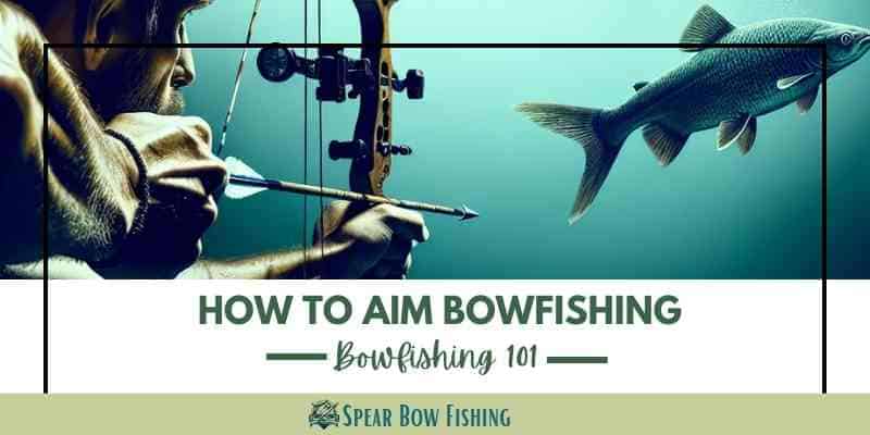 Bowfishing 101 How to Aim Bowfishing