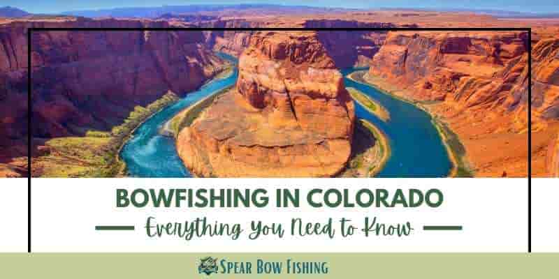 Bowfishing-Colorado-Everything-You-Need-to-Know