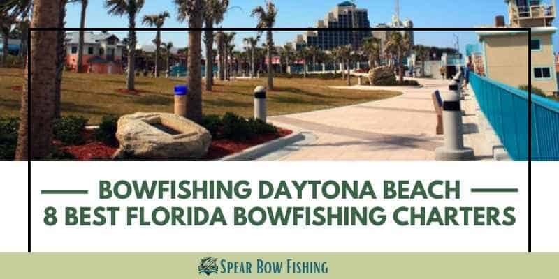 Daytona Bowfishing Only Guide You'll Need for Your Bowfishing Trip-min